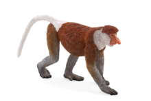 Mojo Animals: Proboscis Monkey