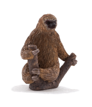 Mojo Animals: Two Toed Sloth