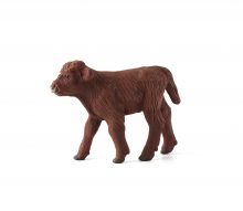 Mojo Animals: Highland Calf