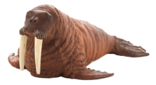 Mojo Animals: Walrus