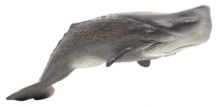 Mojo Animals: Sperm Whale