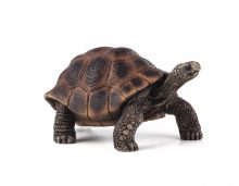 Mojo Animals: Giant Tortoise