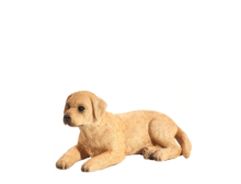 Mojo Animals: Labrador Puppy