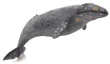 Mojo Animals: Gray Whale