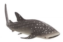 Mojo Animals: Whale Shark