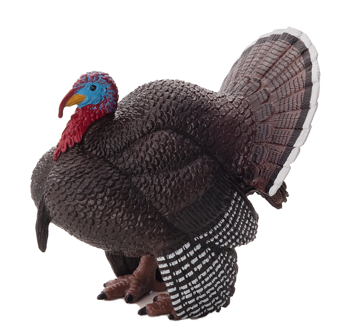 Mojo Animals: Male Turkey
