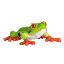 Mojo Animals: Red Eyed Tree Frog