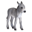 Mojo Animals: Donkey Foal