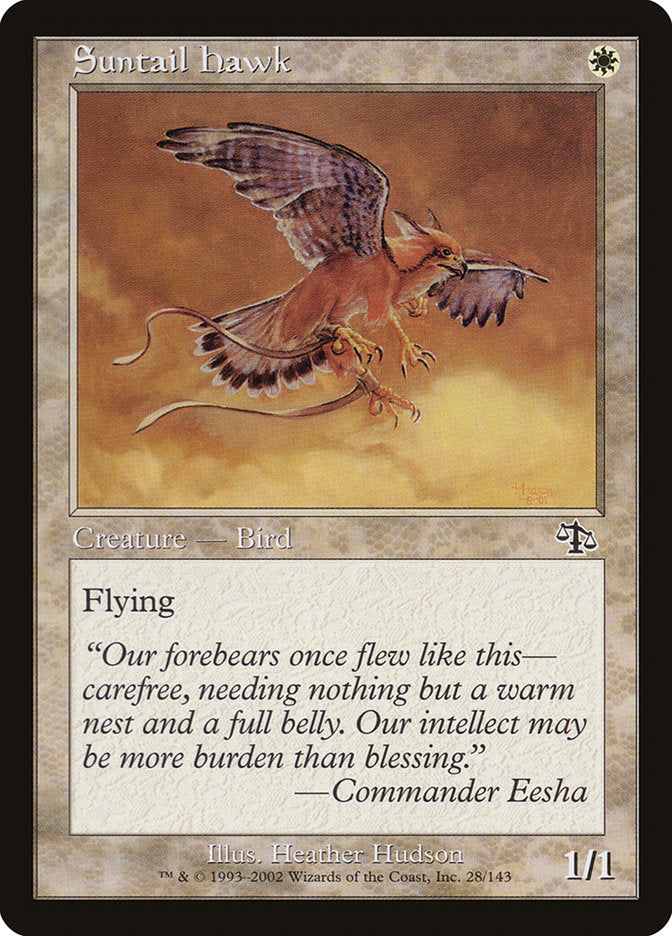 Suntail Hawk :: JUD