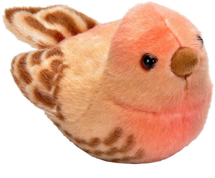 Audubon Plush: House Finch 5"