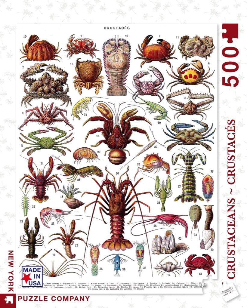 Crustaceans ~ Crustacés (500 pc puzzle)