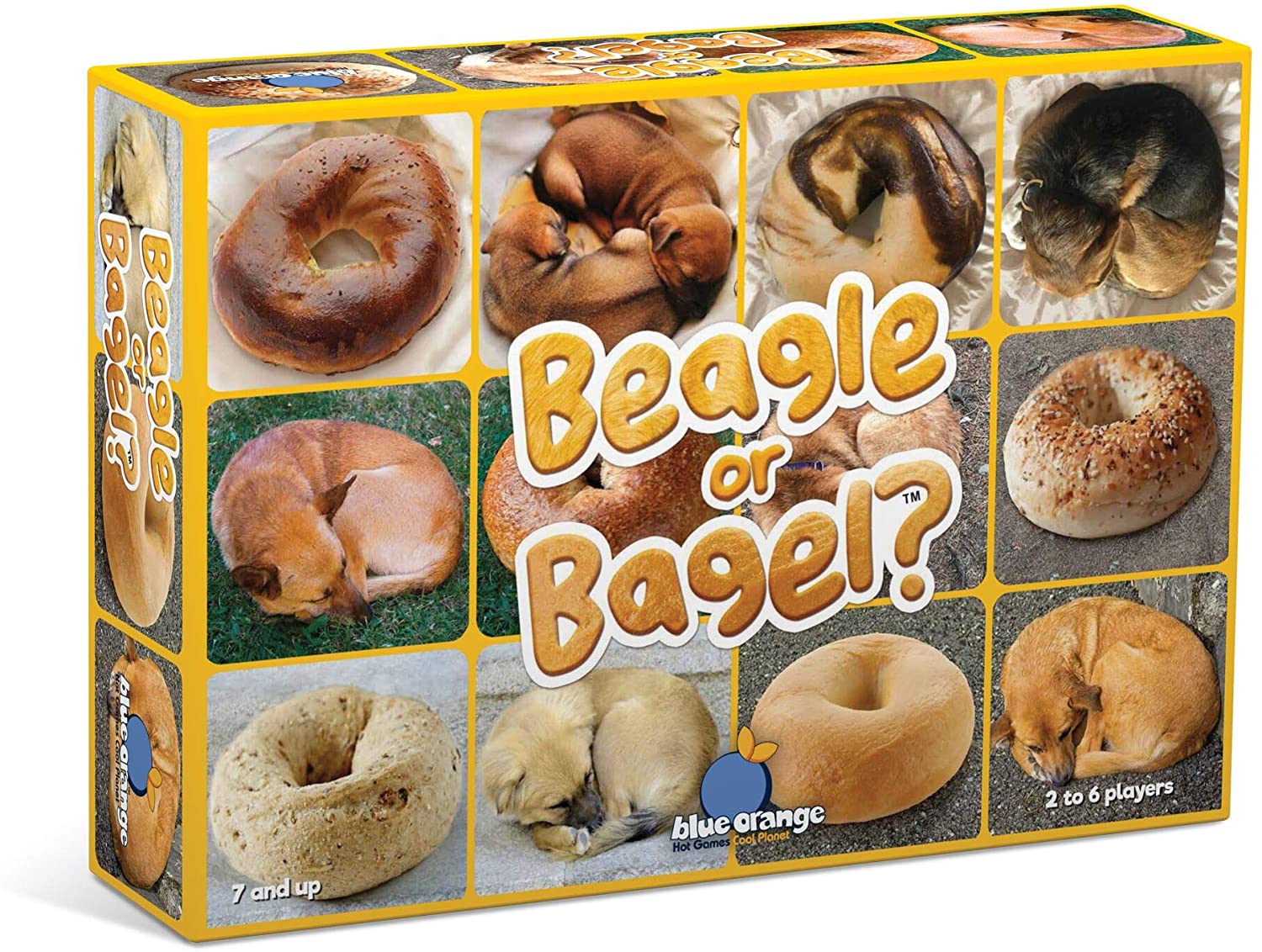 Beagle or Bagel