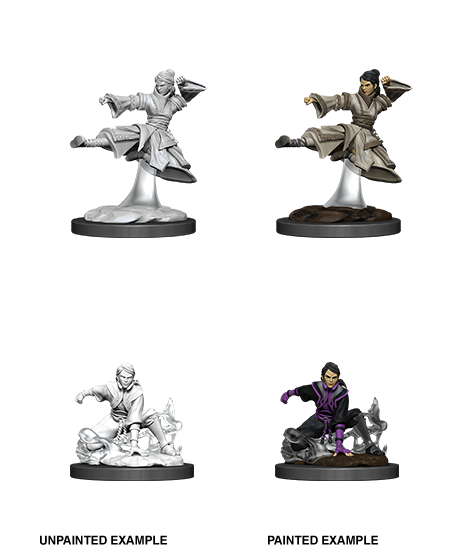 D&D Nolzur's Marvelous Unpainted Miniatures: W11 Human Female Monk