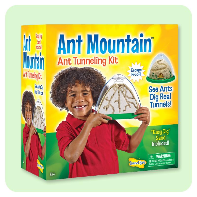 Ant Mountain