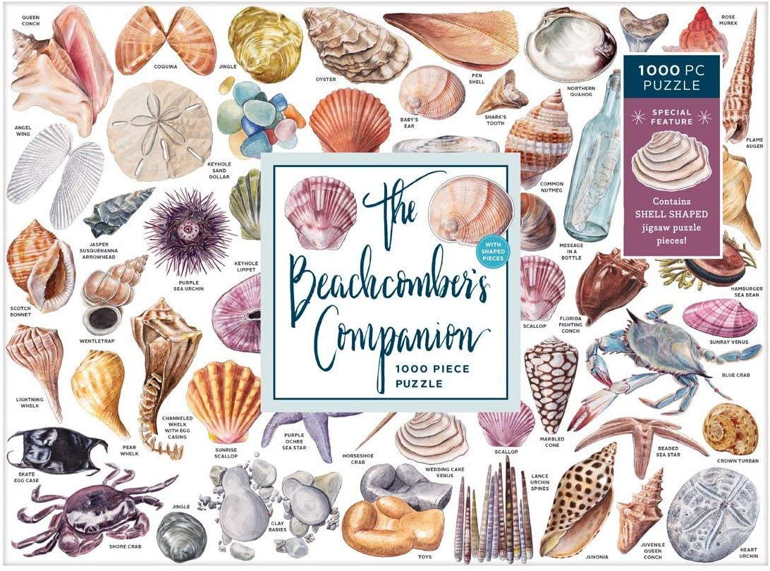 The Beachcomber's Companion (1000 pc puzzle)