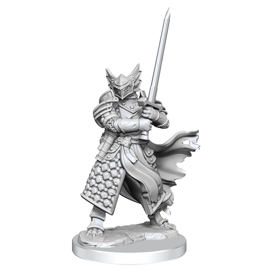 Dungeons & Dragons Frameworks: W1 Dragonborn Paladin Male