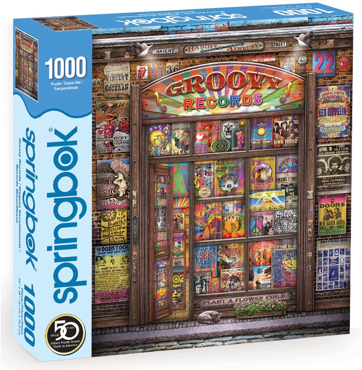 Groovy Records (1000 pc puzzle)