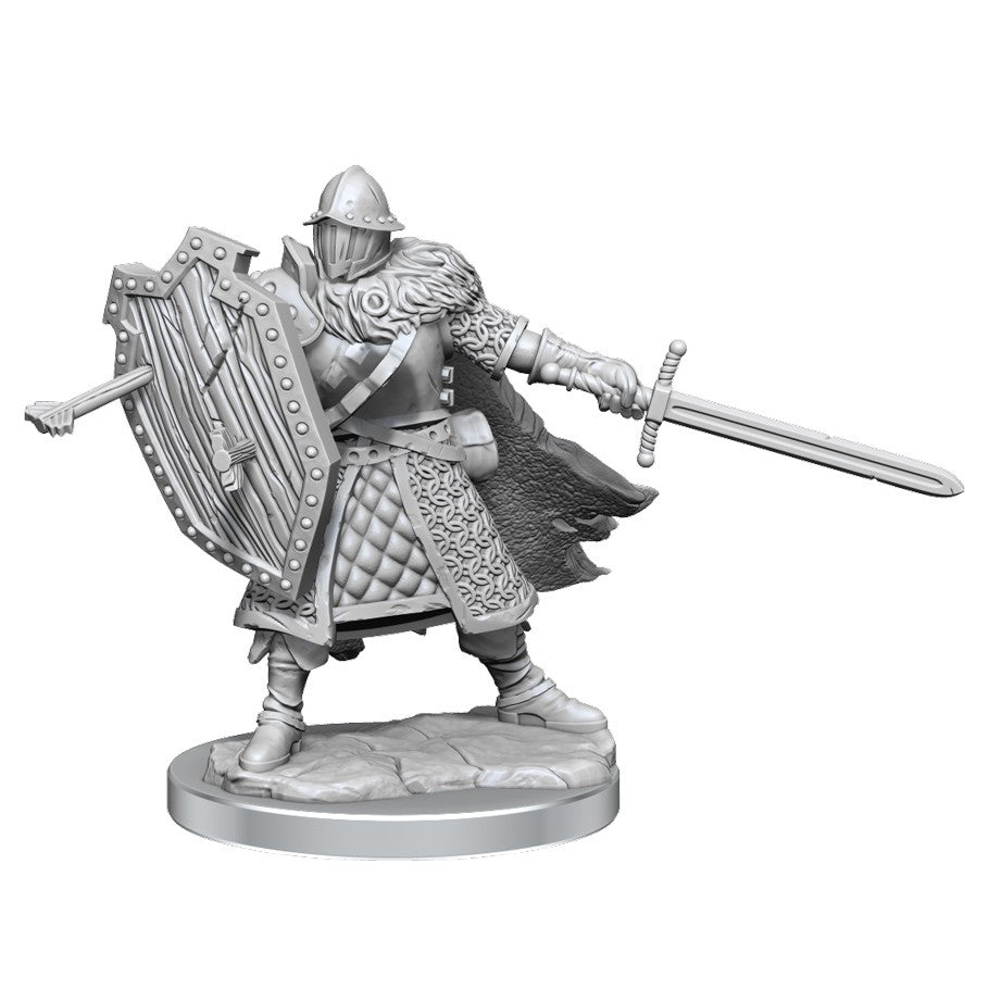 Dungeons & Dragons Frameworks: W1 Human Fighter Male