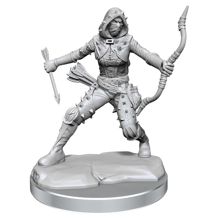 Dungeons & Dragons Frameworks: W1 Human Rogue Female