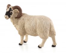 Mojo Animals: Black Faced Sheep (Ram)