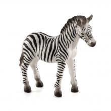 Mojo Animals: Zebra Foal