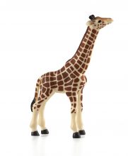 Mojo Animals: Giraffe Calf