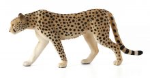 Mojo Animals: Male Cheetah
