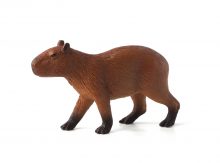 Mojo Animals: Capybara