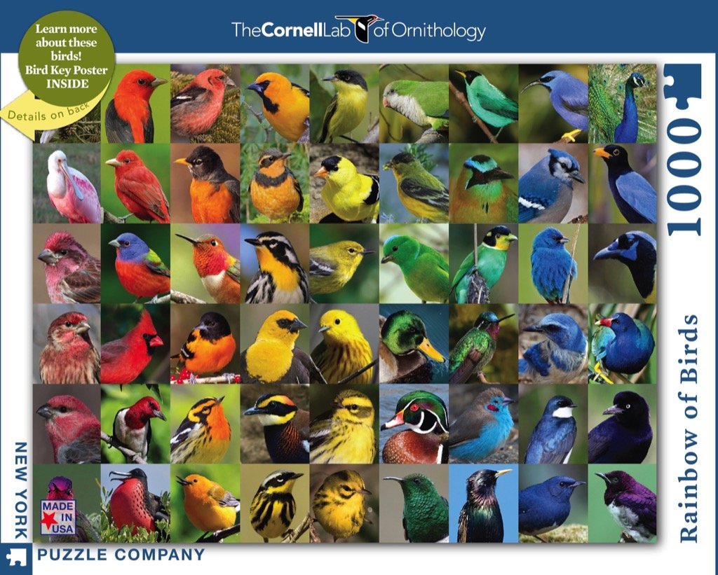 Rainbow of Birds (1000 pc puzzle)