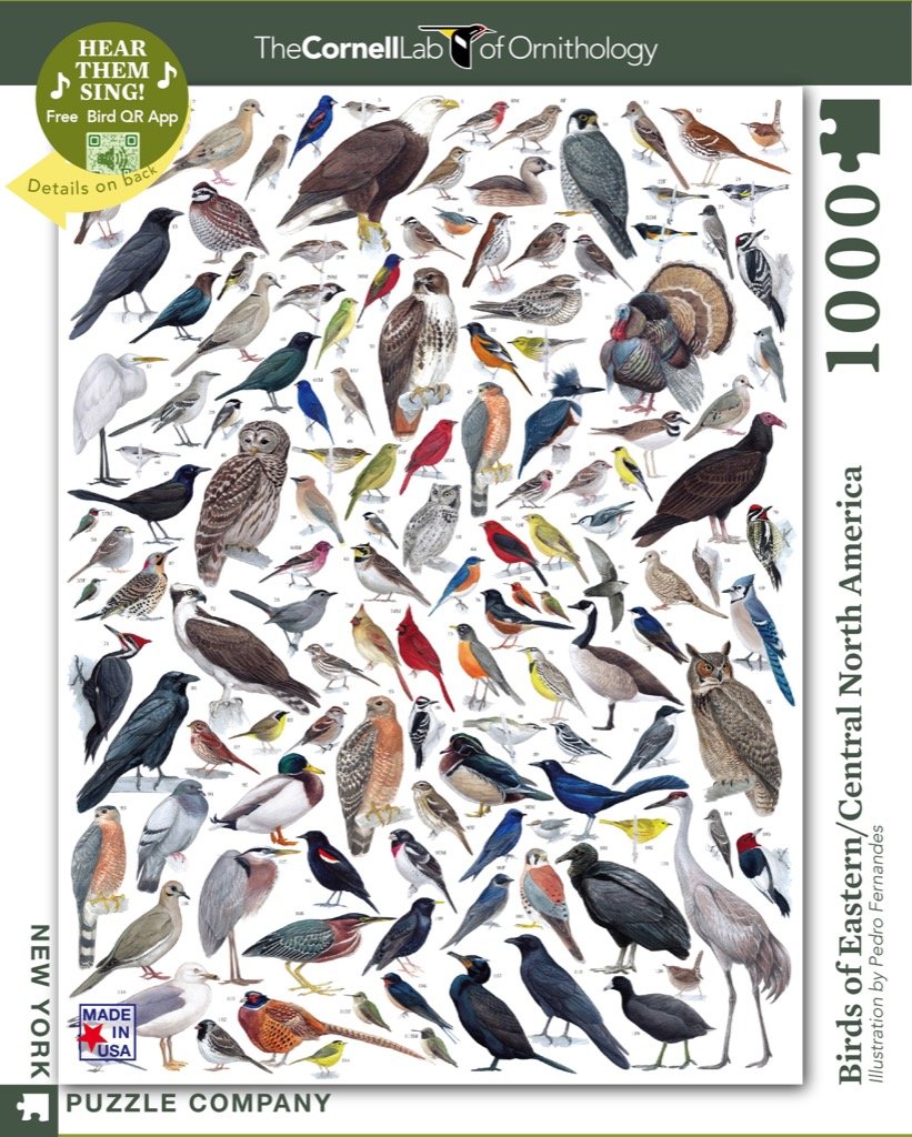 Birds of Eastern/Central North America (1000 pc puzzle)