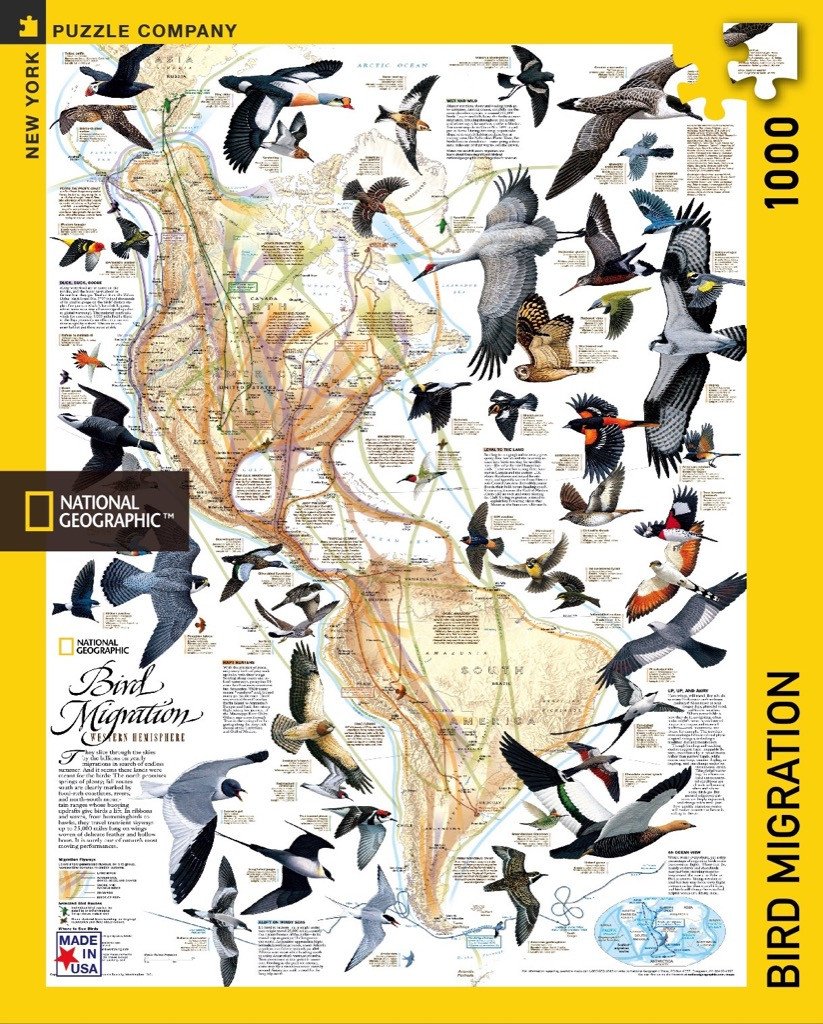 Bird Migration (1000 pc puzzle)
