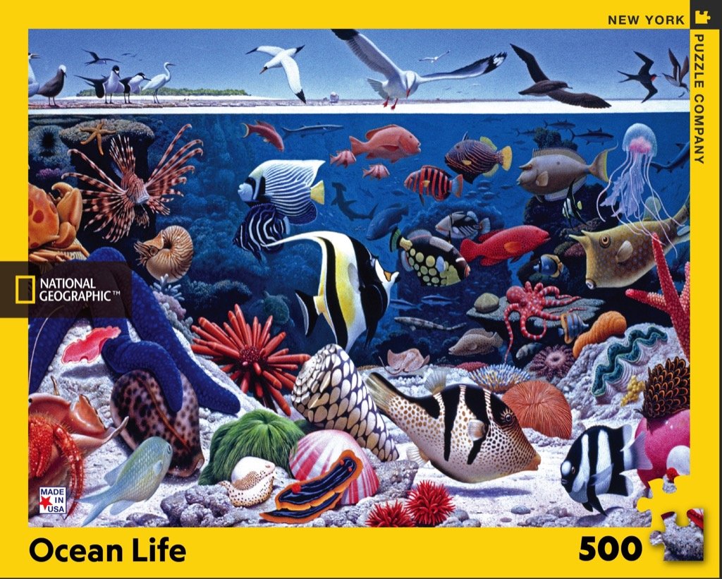 Ocean Life (500 pc puzzle)