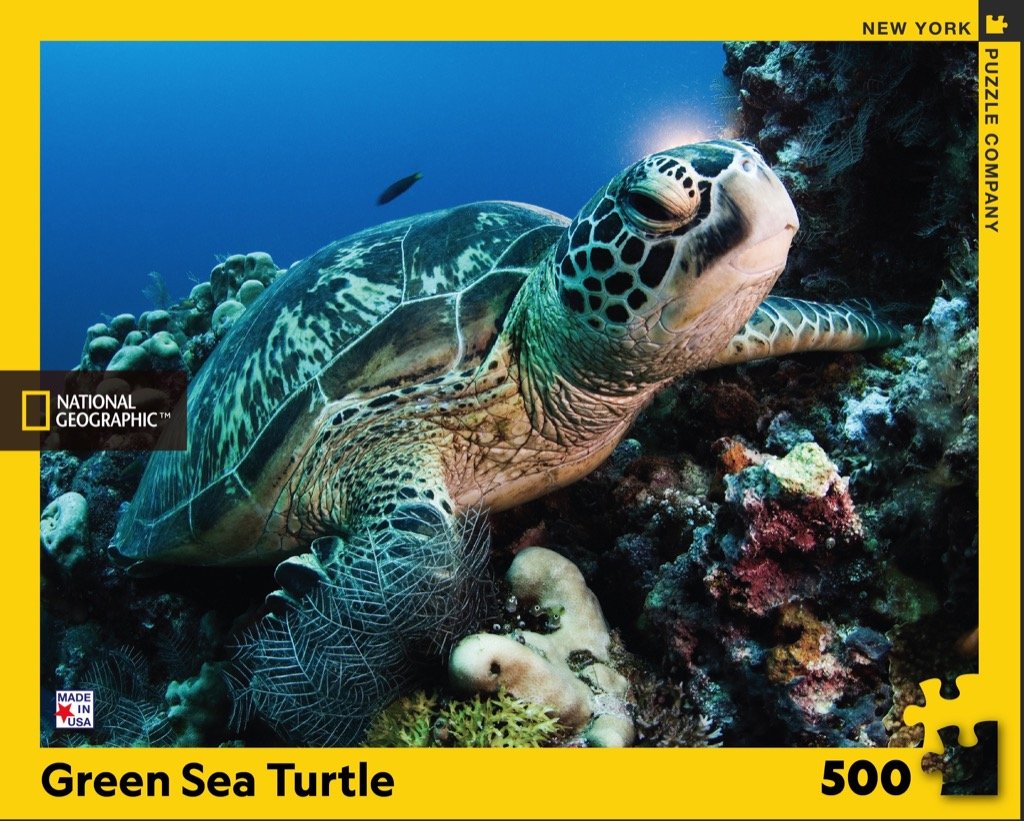 Green Sea Turtle (500 pc puzzle)
