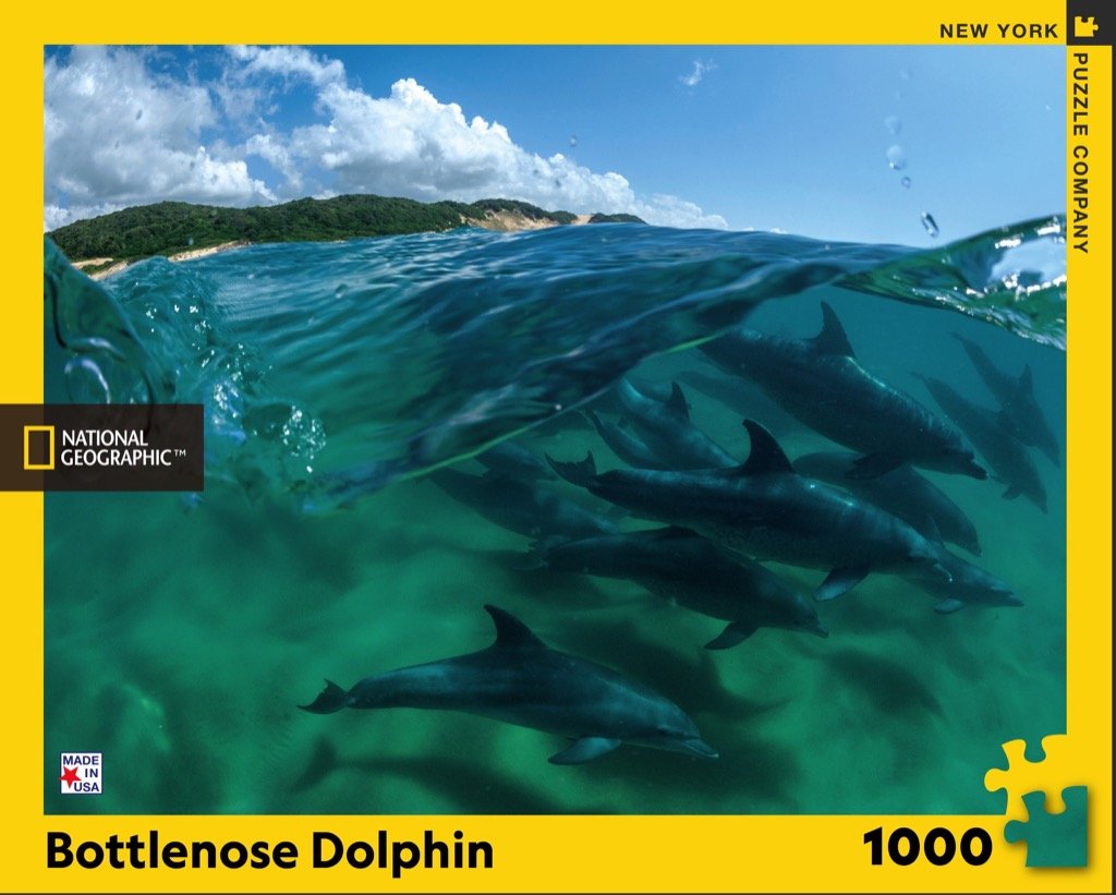 Bottlenose Dolphins (1000 pc puzzle)
