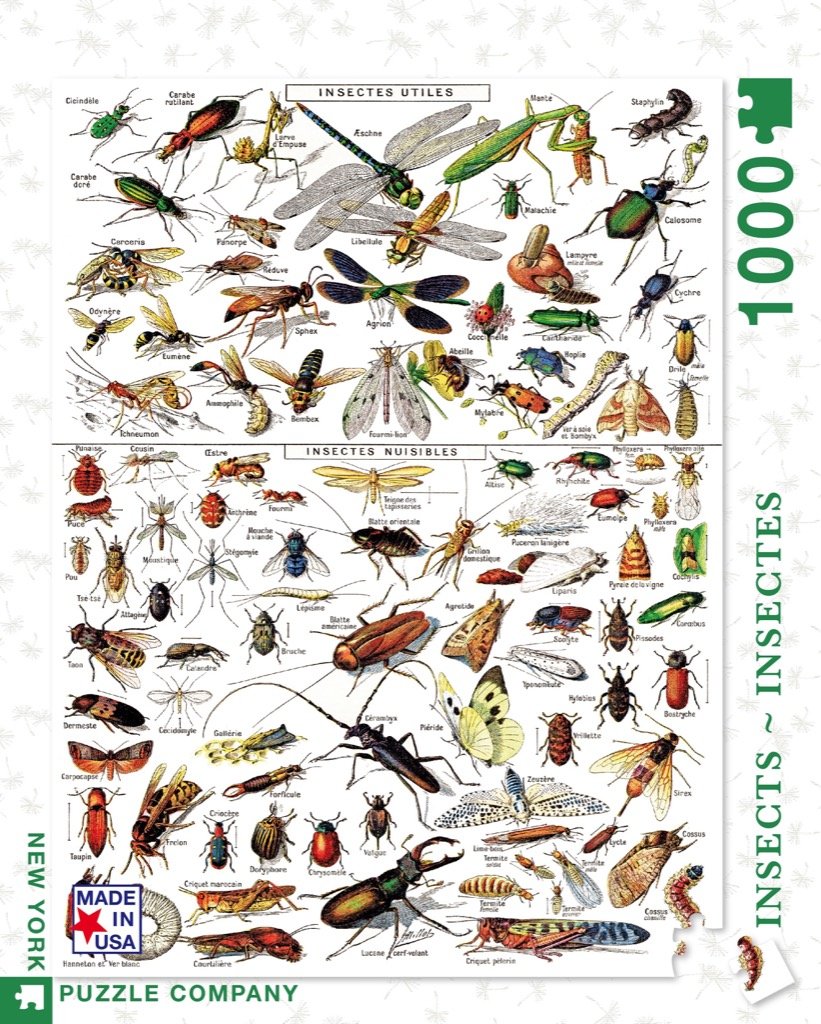 Insects (1000 pc puzzle)