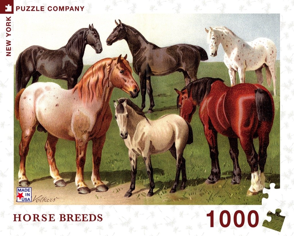 Horse Breeds (1000 pc puzzle)