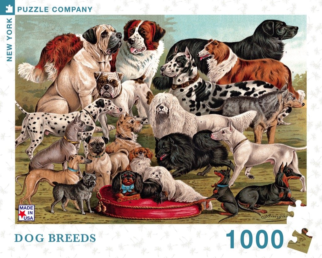 Dog Breeds (1000 pc puzzle)