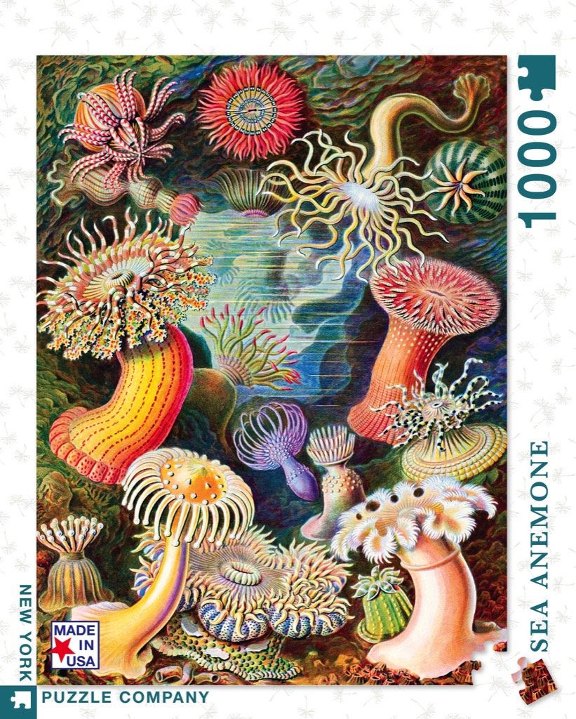 Sea Anemones (1000 pc puzzle)