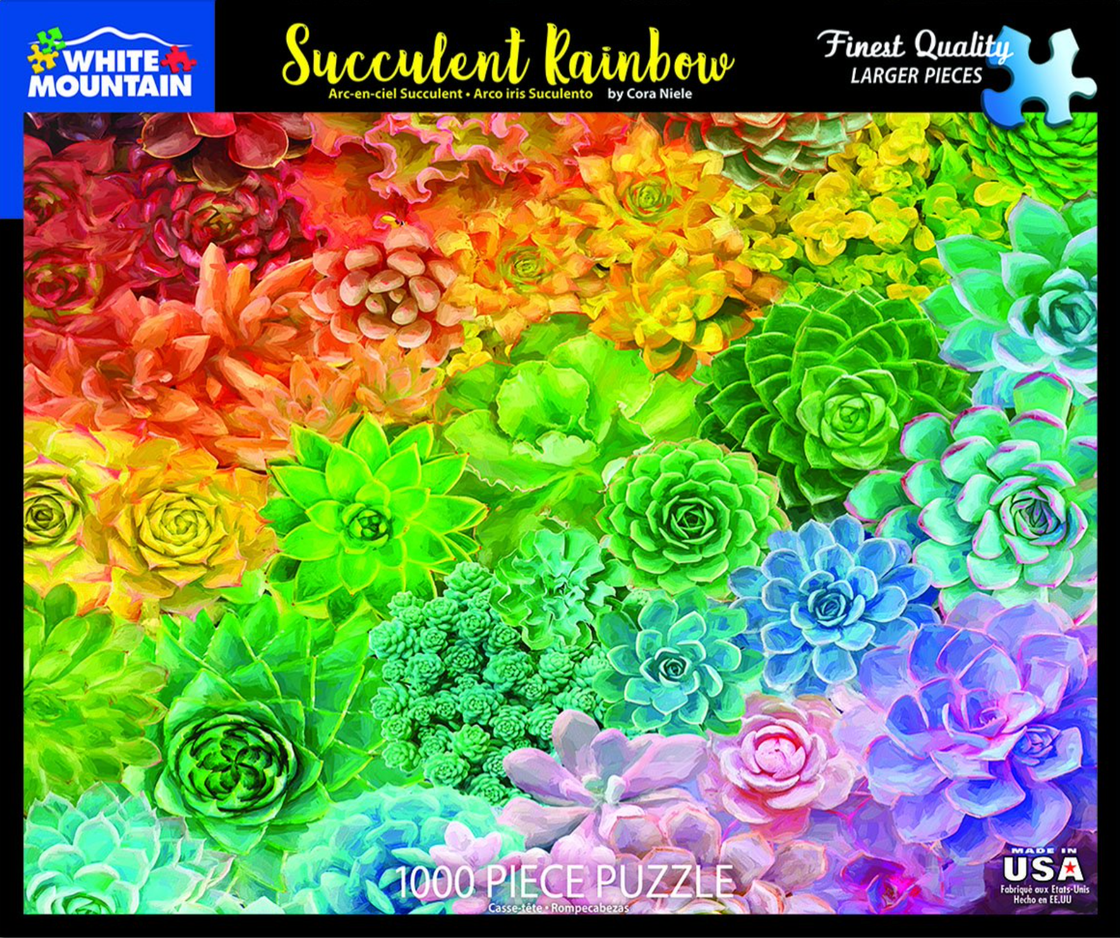 Succulent Rainbow (1000 pc puzzle)