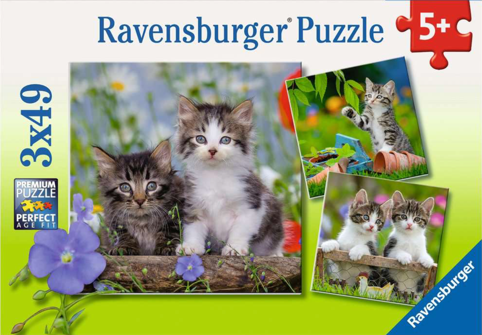 Tiger Kittens (49 pc puzzle x3)