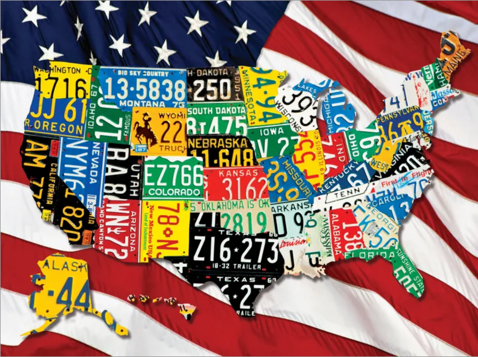 State Plates (1000 pc puzzle)