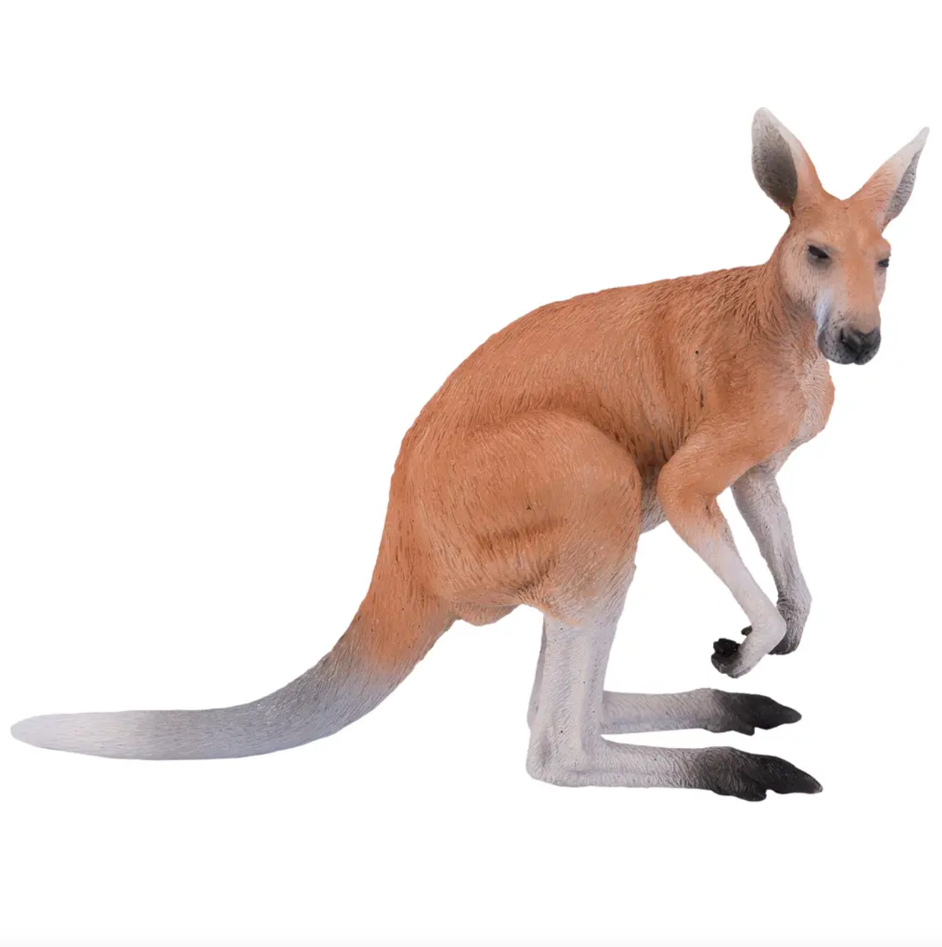 Mojo Animals: Kangaroo