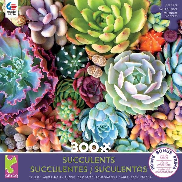 Succulents - Succulent Synergy 300 pc Puzzle