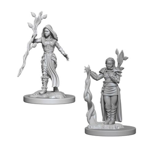 D&D Nolzur's Marvelous Unpainted Miniatures: W2 Human Female Druid