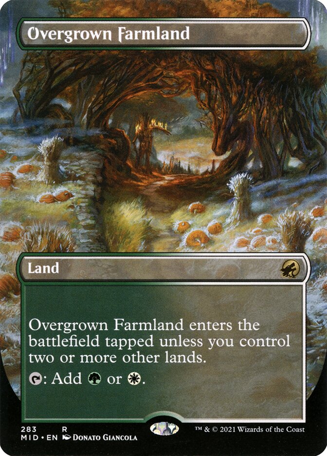Overgrown Farmland (Borderless) [Foil] :: MID