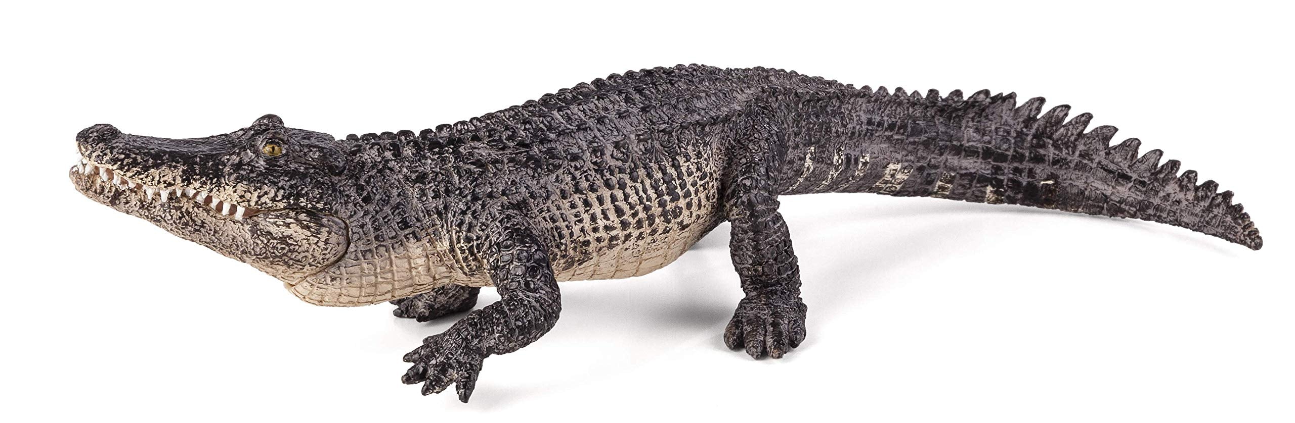 Mojo Animals: Alligator