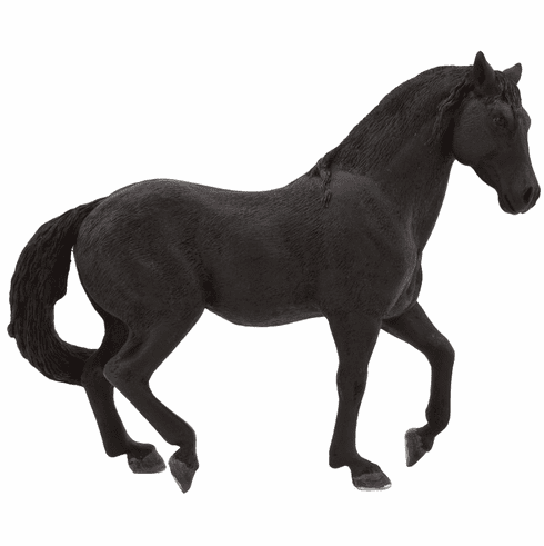 Mojo Animals: Andalusian Stallion Black