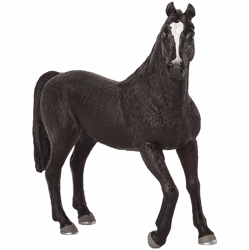 Mojo Animals: Arabian Stallion Black