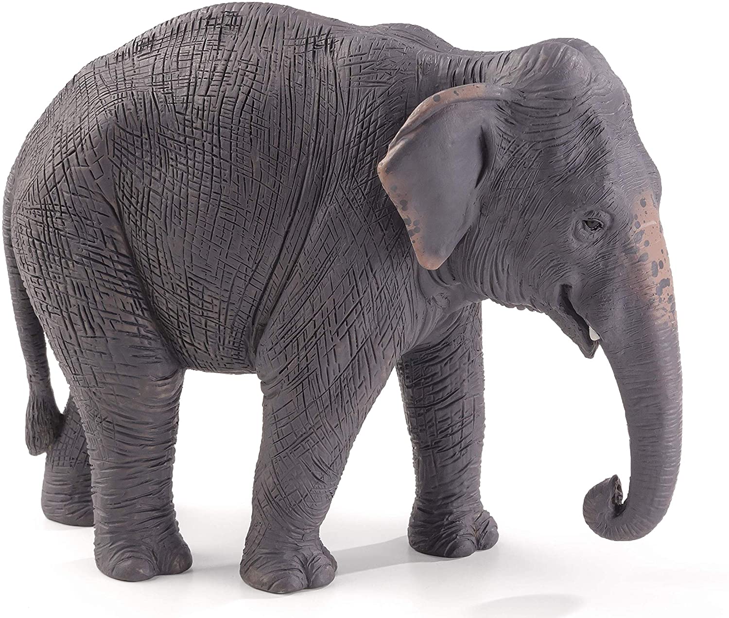 Mojo Animals: Asian Elephant
