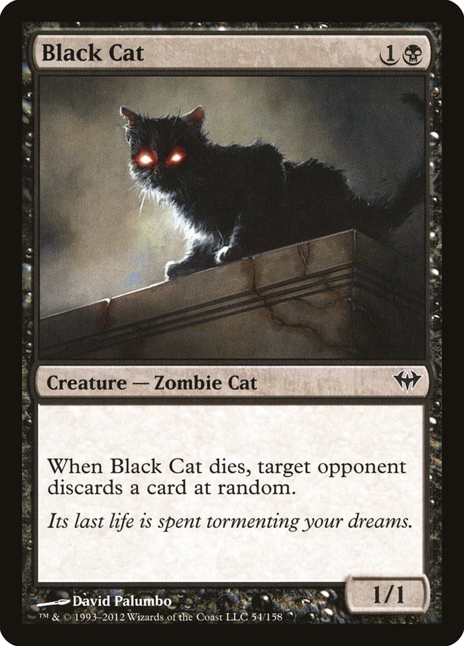 Black Cat :: DKA